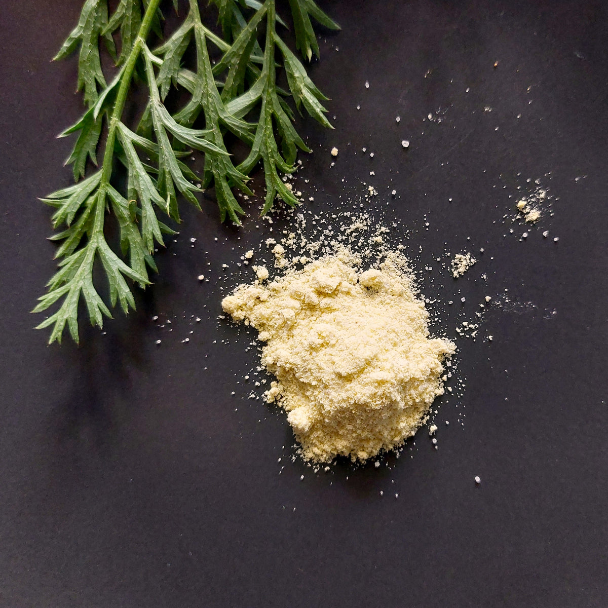Kostenlose Produktprobe Alnutrin für Fleisch und Knochen